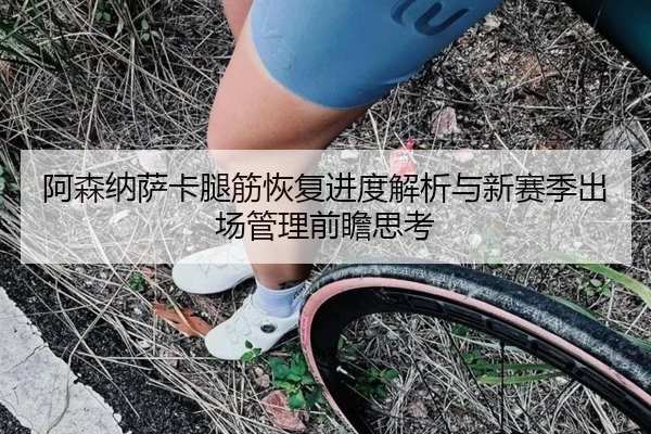 阿森纳萨卡腿筋恢复进度解析与新赛季出场管理前瞻思考